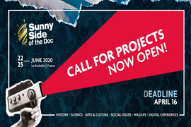 Ssd20_call-for-projects-eng